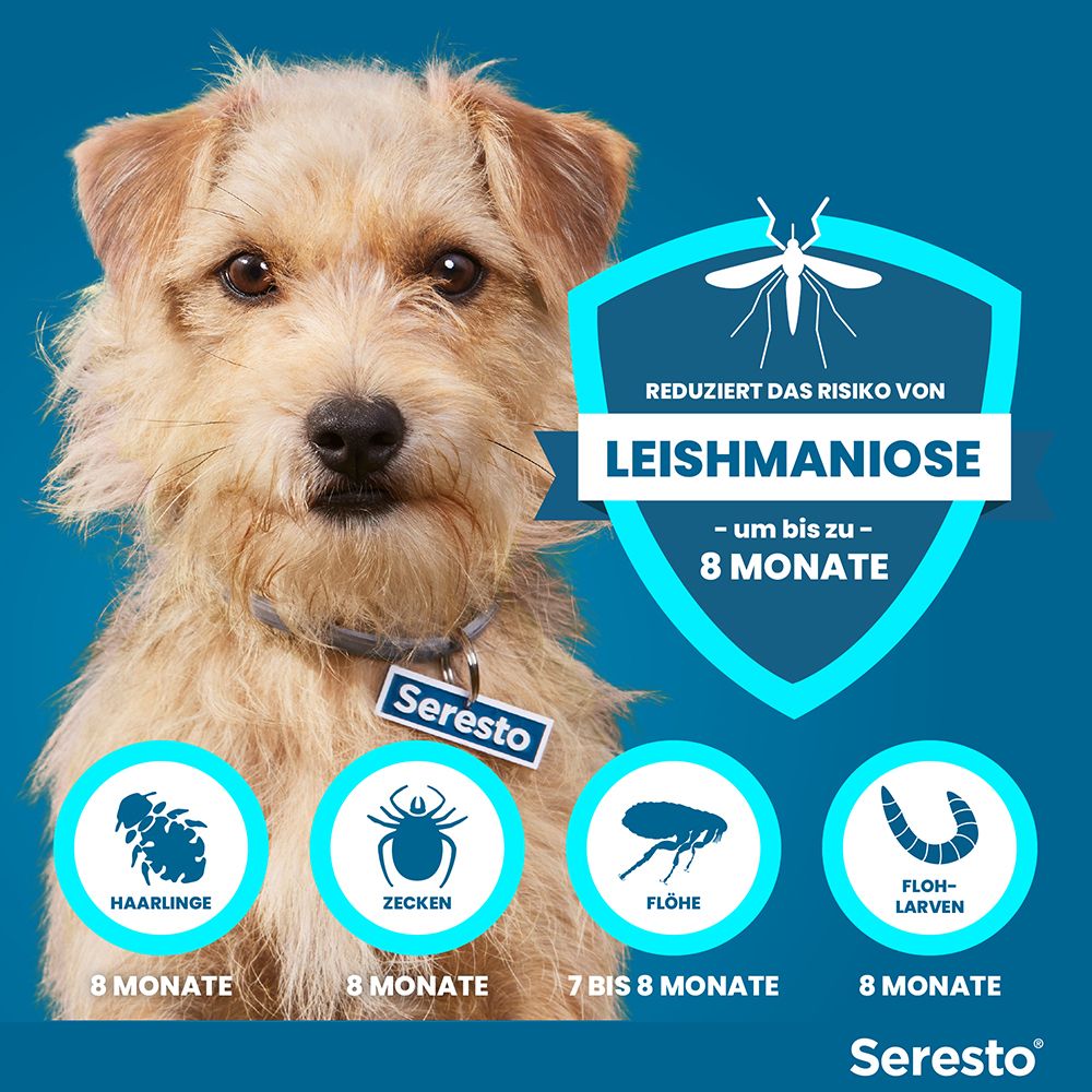 Blauer Hintergrund mit Hund und Icons. Text: Reduziert das Risiko von Leishmaniose. 8 Monate gegen Haarlinge, Zecken, Flöhe, Flöhenlarven.