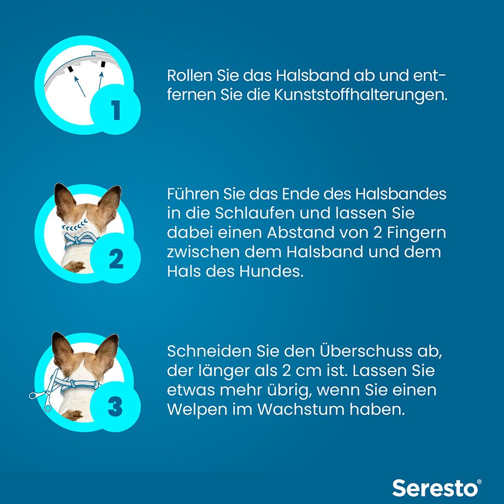 Anleitung zur Anwendung des Halsbandes. 3 Schritte mit Illustrationen. Text: 1. Halterungen entfernen. 2. Ende in Schlaufen führen. 3. Überschuss abschneiden.