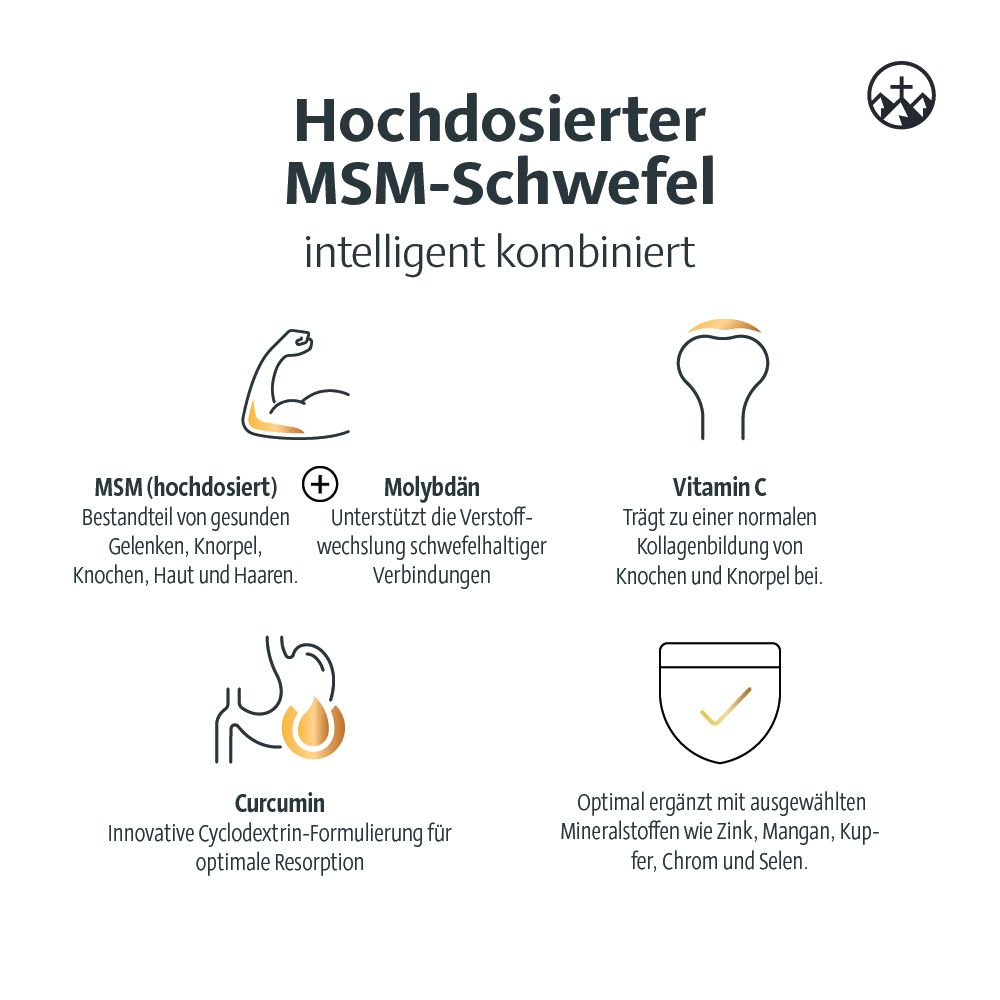 Infografik zu Alpinamed MSM Arthro. Beschreibt MSM, Molybdän, Vitamin C und Curcumin. Mit Icons.