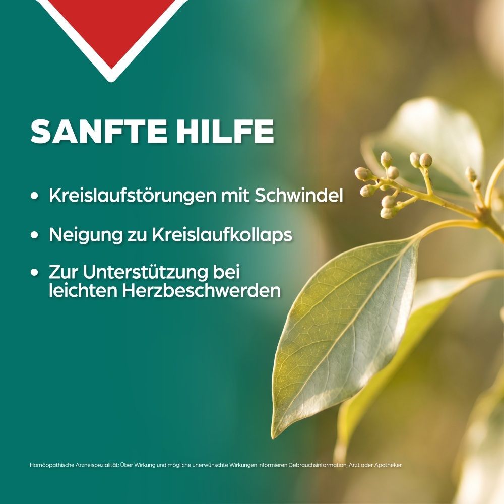 Grüner Hintergrund mit Blatt und Knospen, Text über sanfte Hilfe bei Kreislaufstörungen.