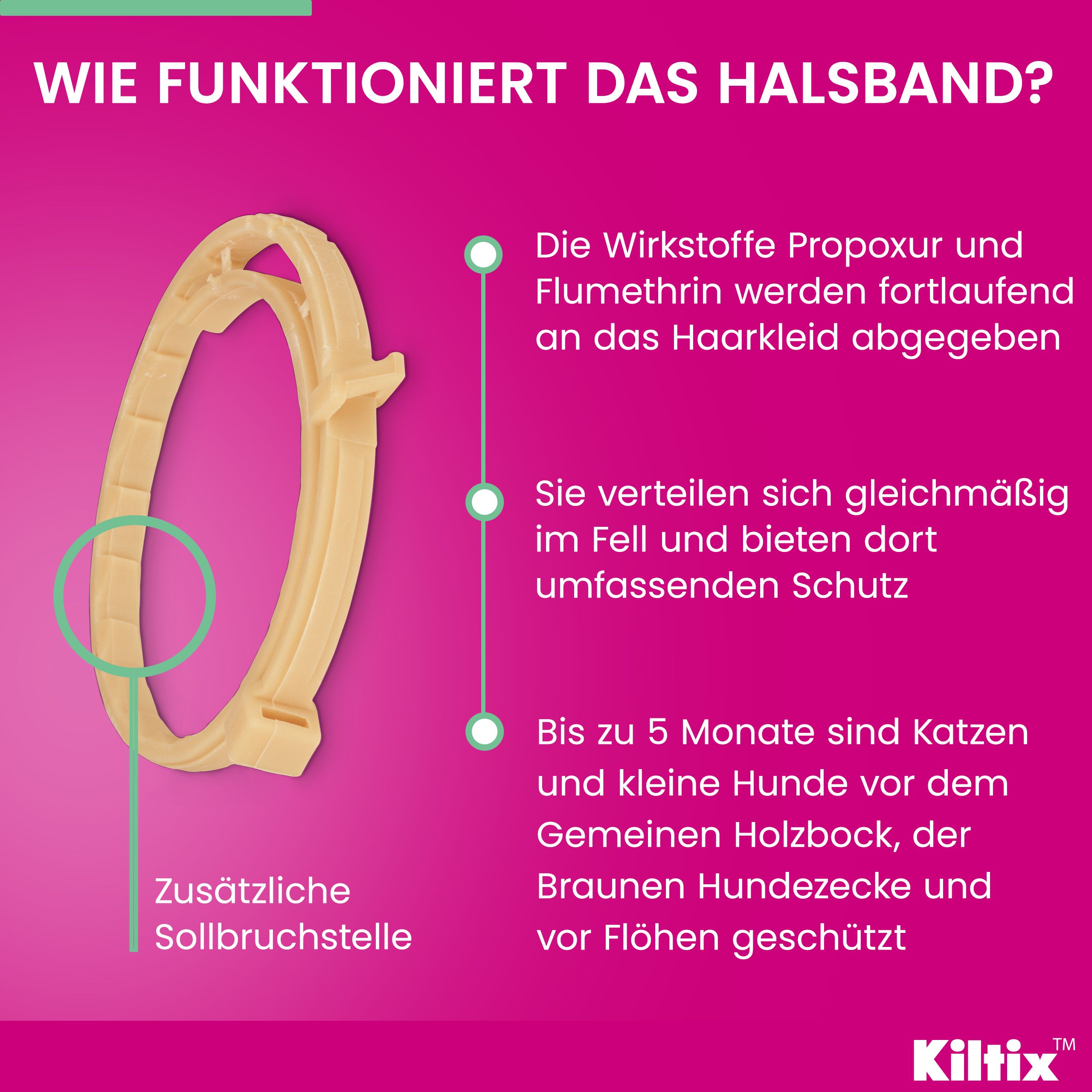 Funktionsweise des Kiltix® Halsbands. Wirkstoffe werden kontinuierlich abgegeben. Schutz vor Zecken und Flöhen.
