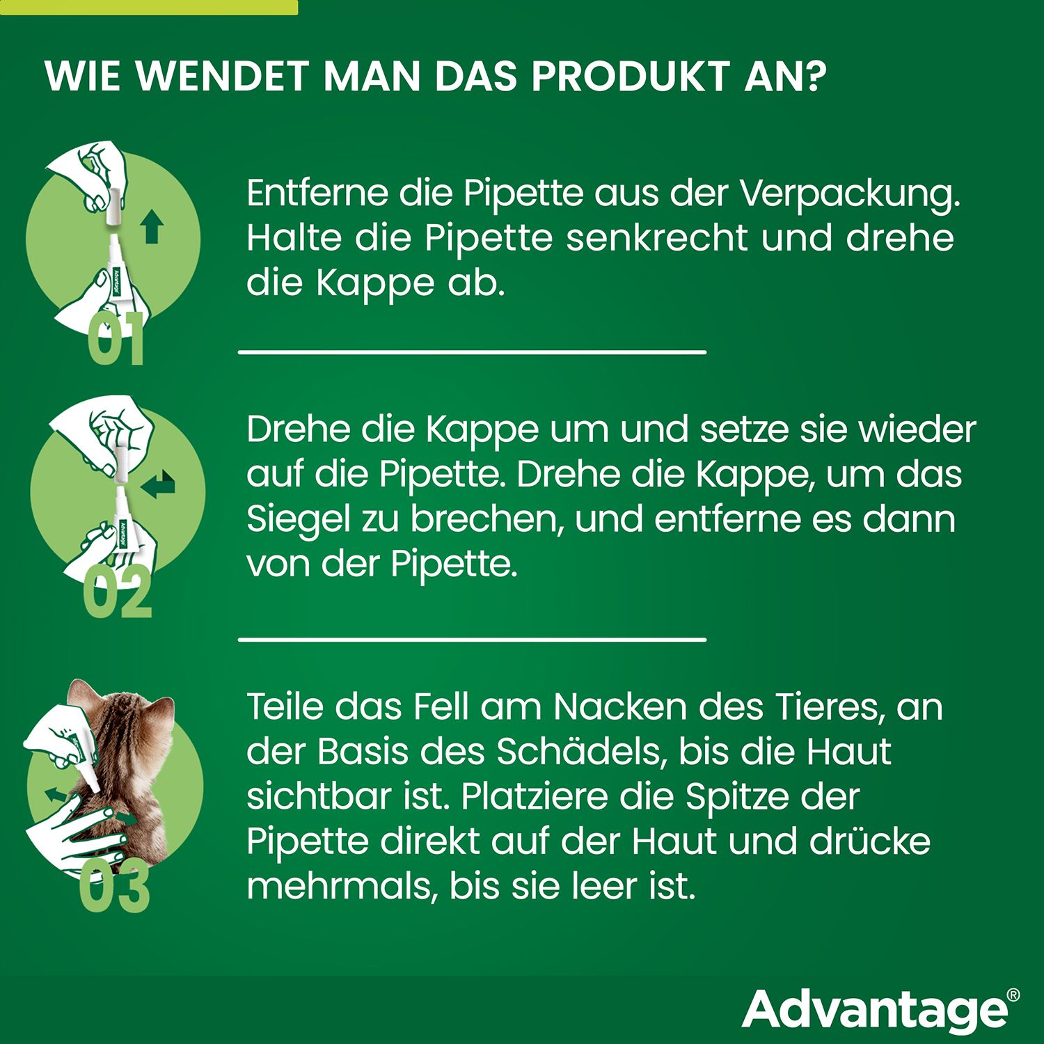 advantage® für große Katzen über 4 kg