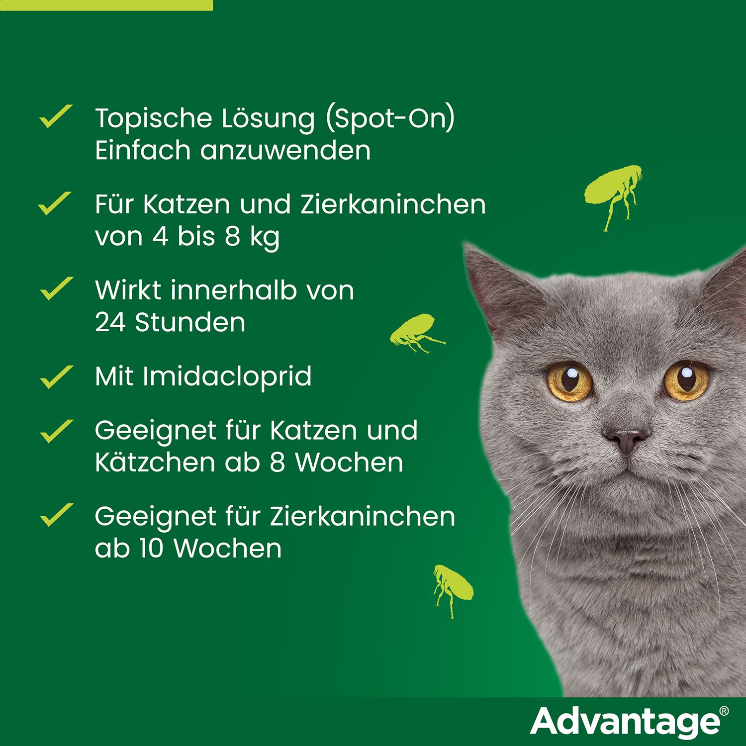 advantage® für große Katzen über 4 kg