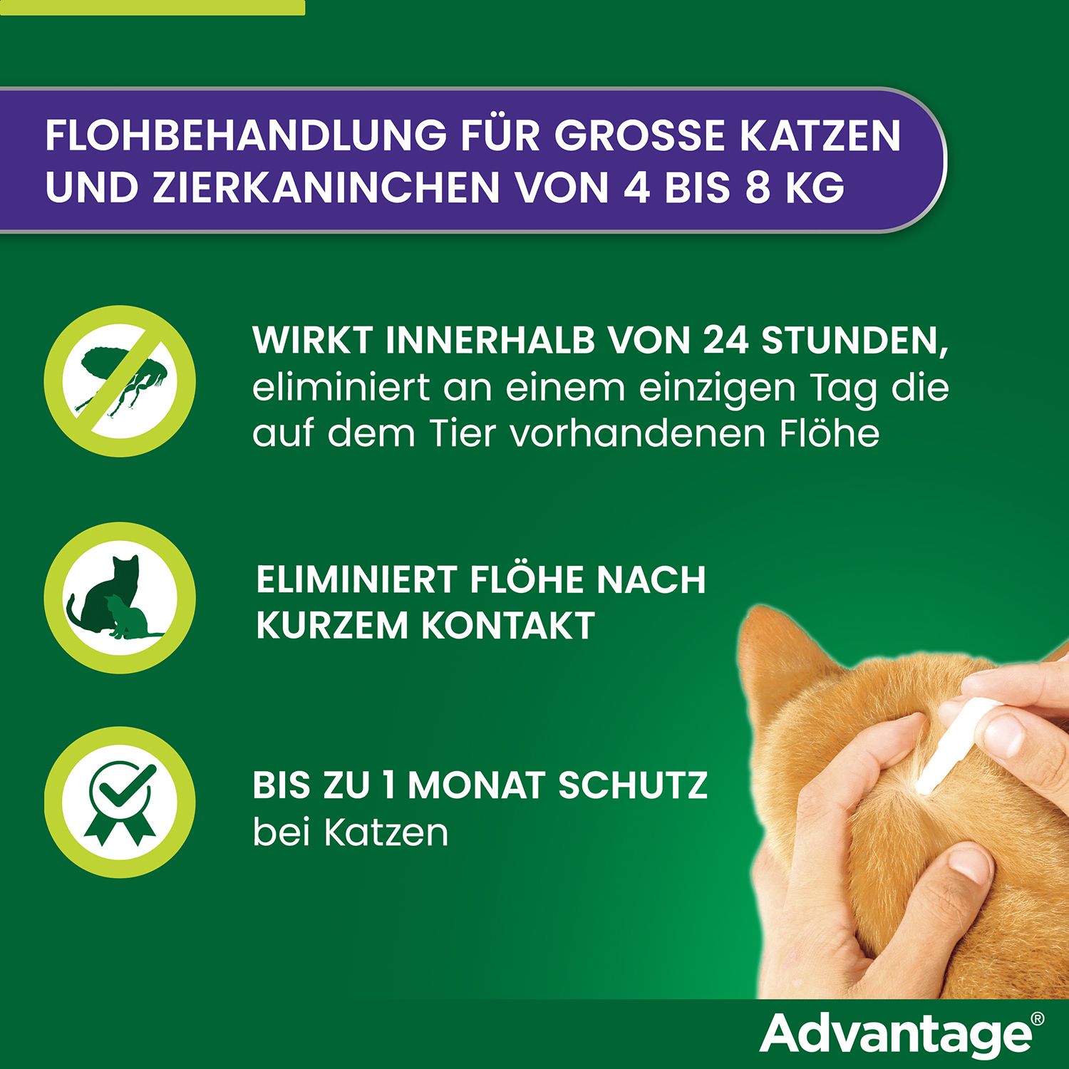 advantage® für große Katzen über 4 kg