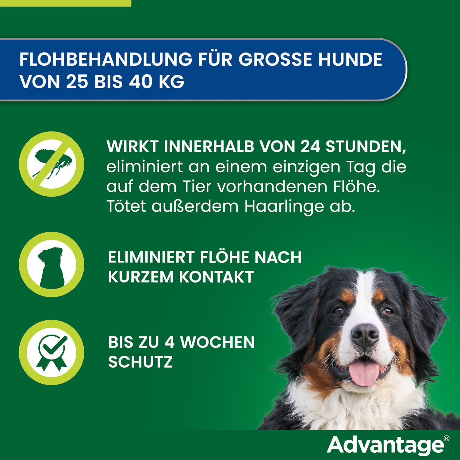 advantage® 400 mg bei Hunden über 25 kg Körpergewicht