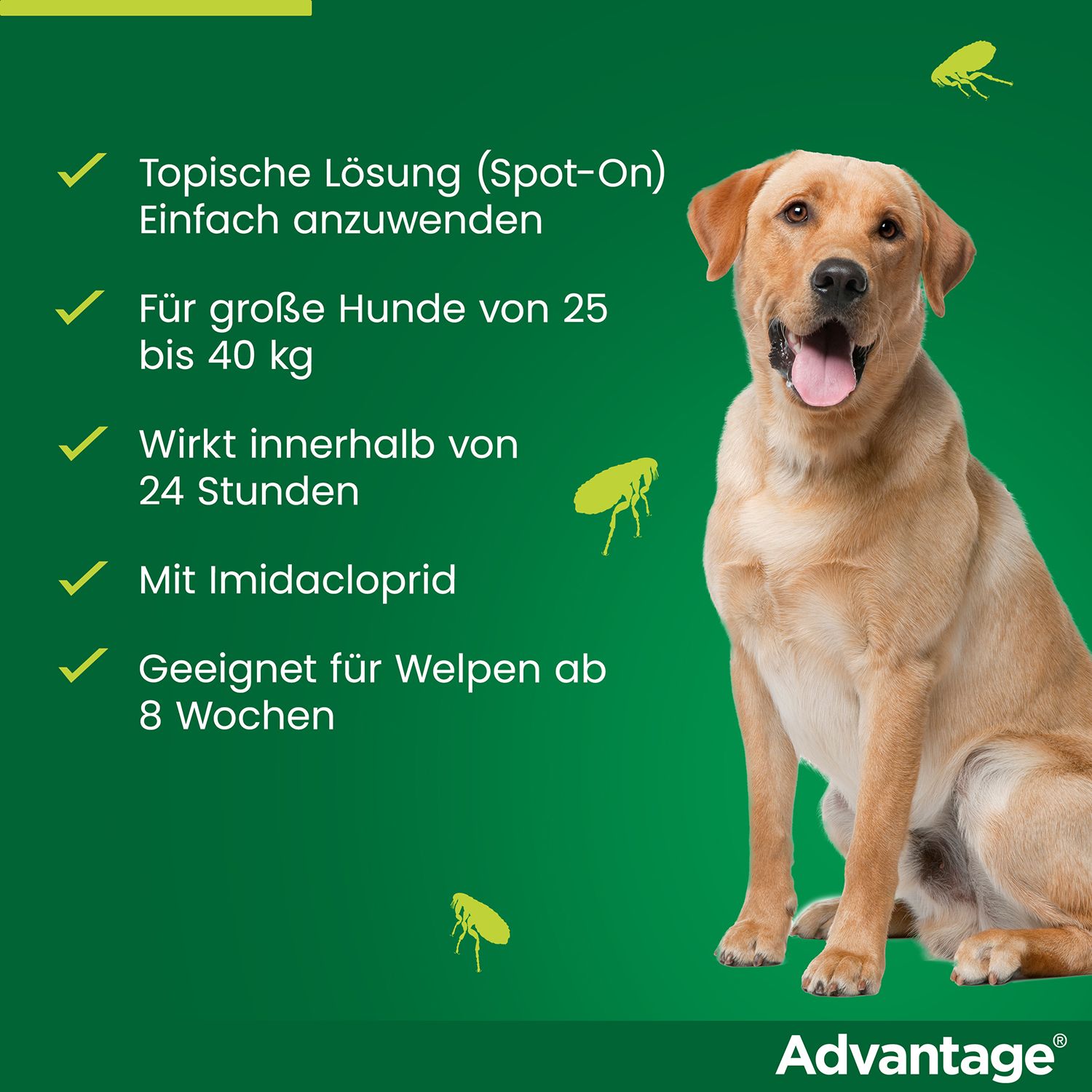 advantage® 400 mg bei Hunden über 25 kg Körpergewicht