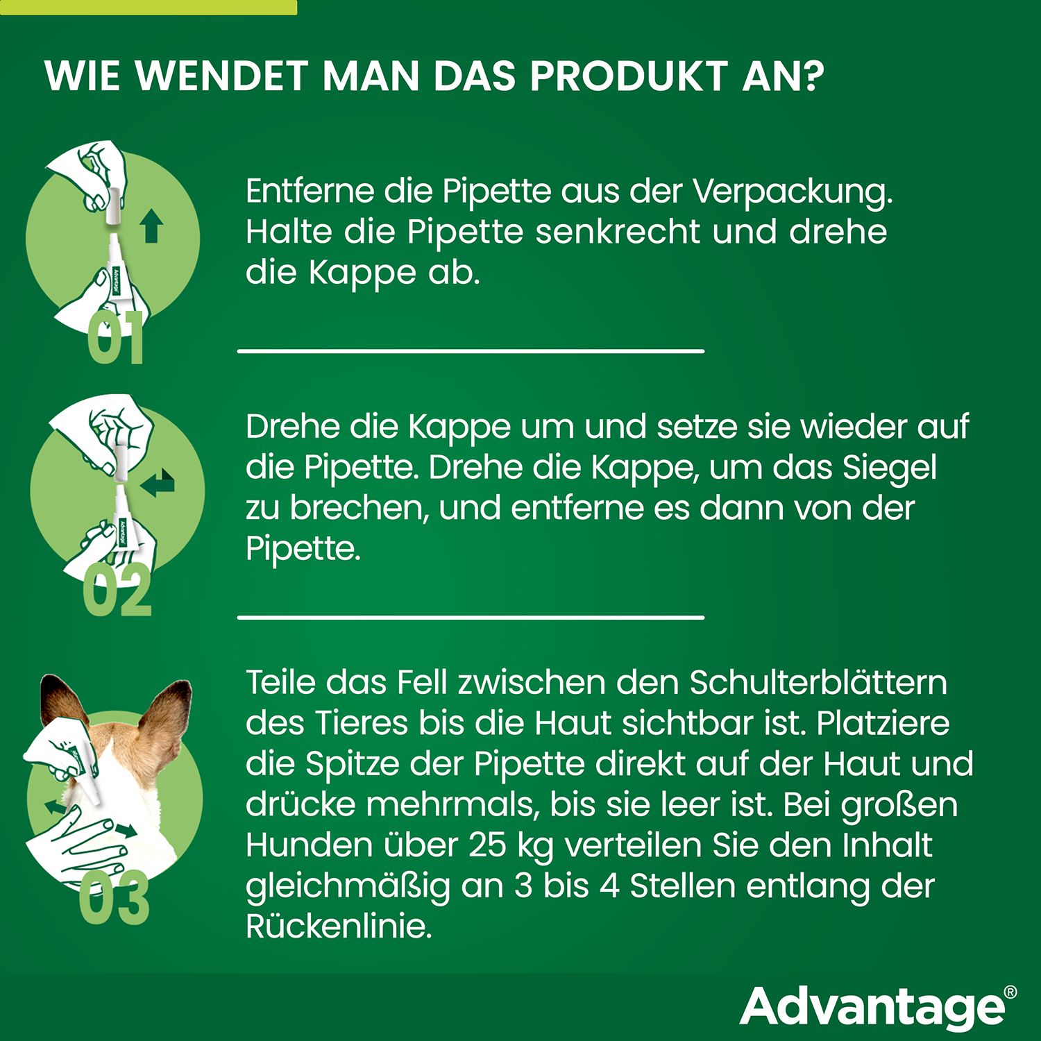 advantage® 400 mg bei Hunden über 25 kg Körpergewicht
