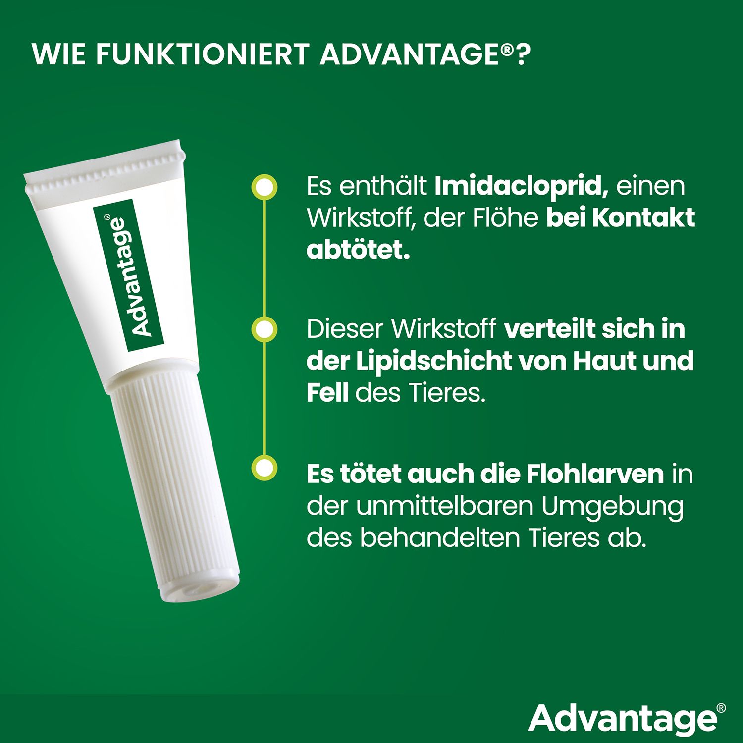 advantage® 400 mg bei Hunden über 25 kg Körpergewicht