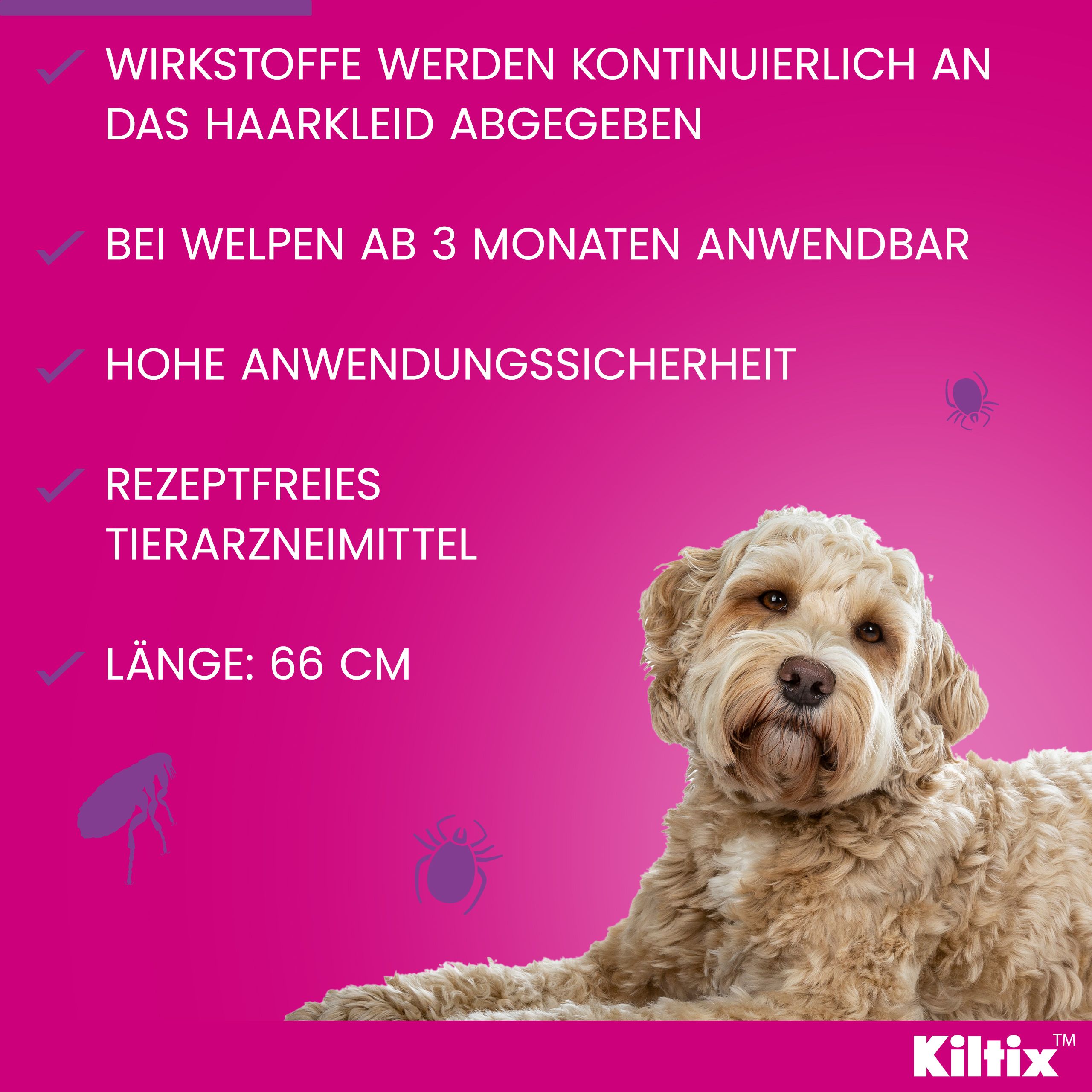 Rosa Hintergrund mit Hund und Text: Wirkstoffe werden kontinuierlich abgegeben. Länge: 66 cm. Kiltix®-Logo.