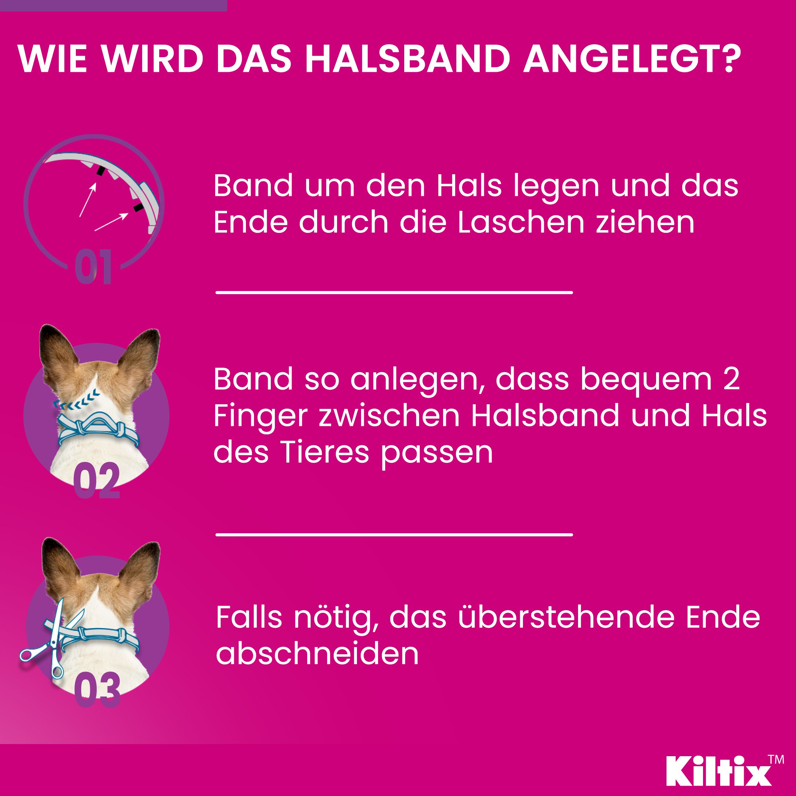 Anleitung zur Anwendung des Halsbands. Drei Schritte mit Illustrationen und Text. Kiltix®-Logo.
