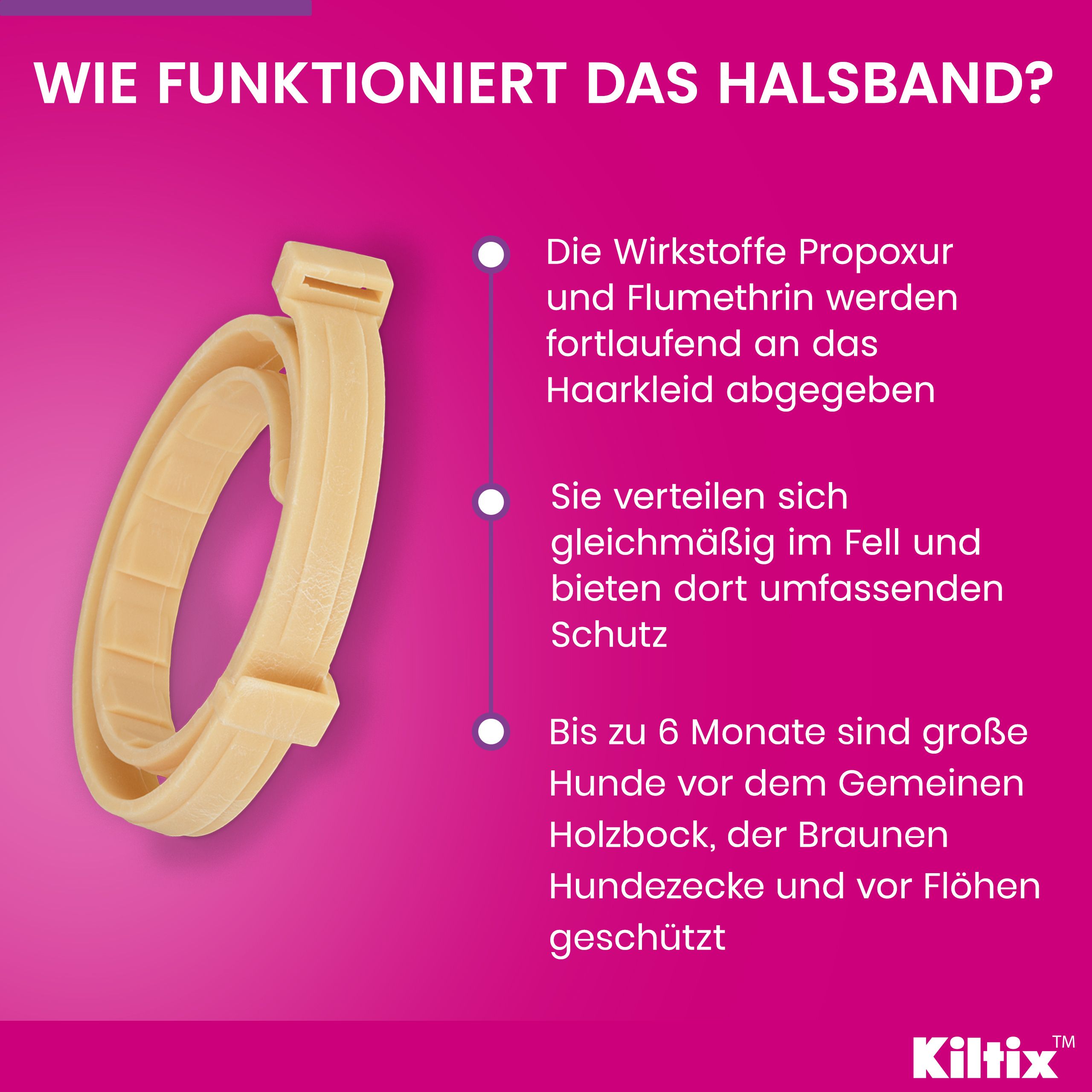Wie das Halsband funktioniert. Text und Illustration des Halsbands. Kiltix®-Logo.