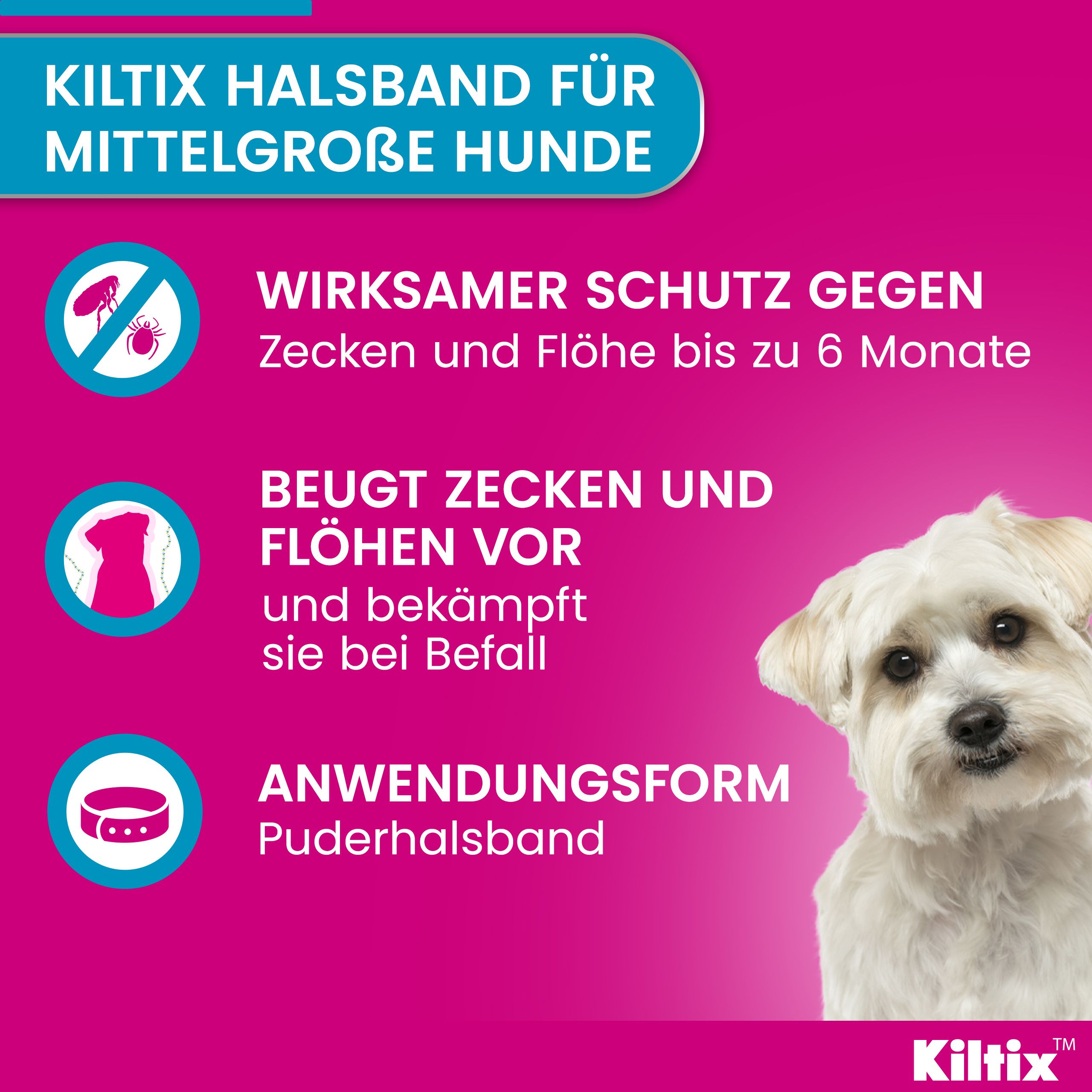Kiltix® Halsband für mittelgroße Hunde