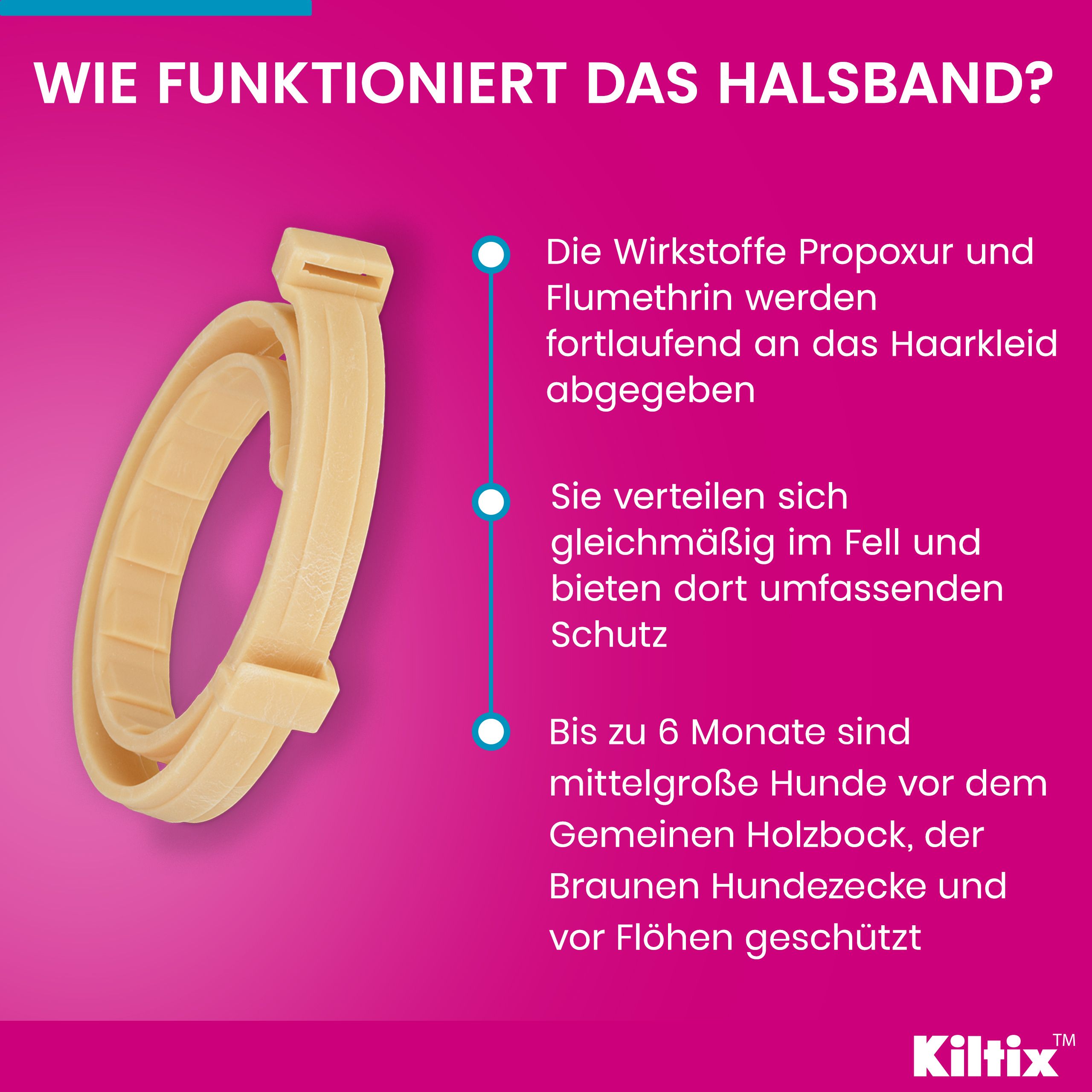 Kiltix® Halsband für mittelgroße Hunde