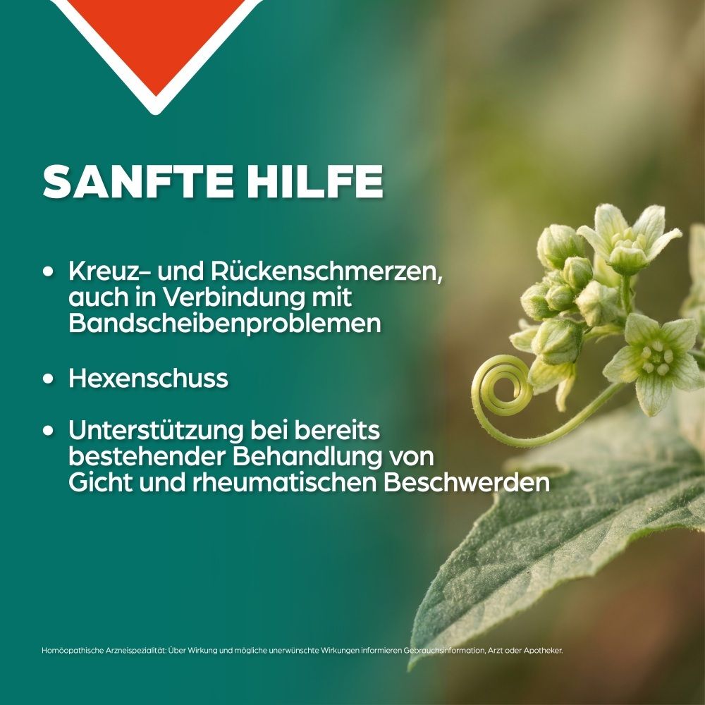 Grüner Hintergrund mit Text und einer grünen Pflanze mit Blüten.