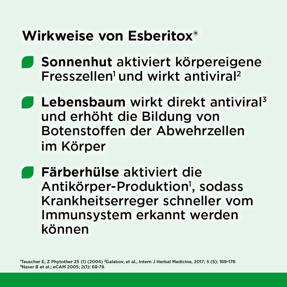 Text über die Wirkweise von Esberitox®. Sonnenhut aktiviert Immunzellen, Lebensbaum wirkt antiviral, Färberhülse aktiviert Antikörper.