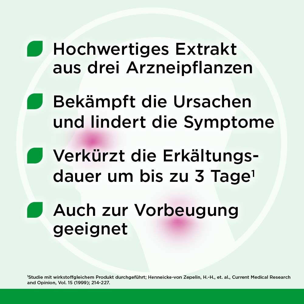 Infografik: Vorteile von Esberitox® forte. Hochwertiges Extrakt, bekämpft Ursachen, verkürzt Erkältungsdauer, zur Vorbeugung.