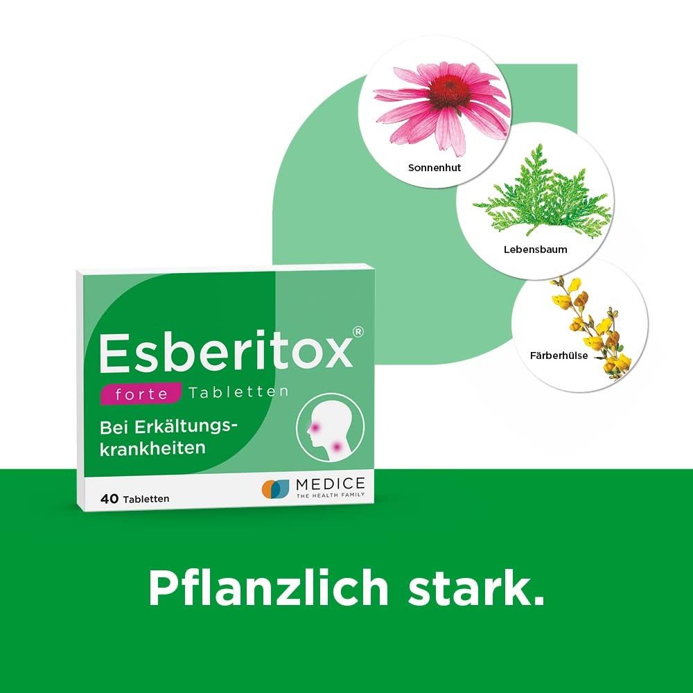 Schachtel Esberitox® Forte Tabletten mit Illustrationen von Sonnenhut, Lebensbaum und Färberhülse. Pflanzlich stark.