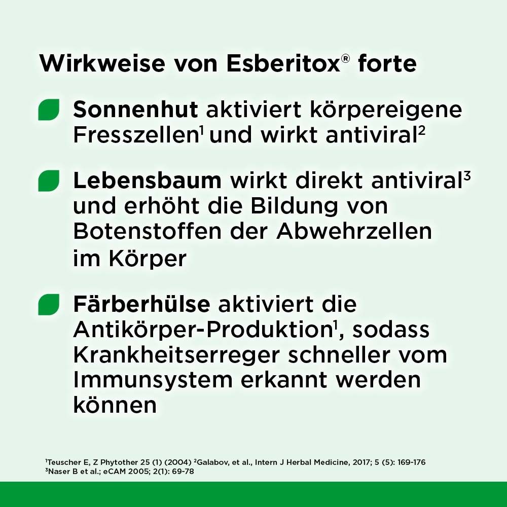 Infografik: Wirkweise von Esberitox® forte. Aktiviert Immunzellen, wirkt antiviral, aktiviert Antikörper-Produktion.