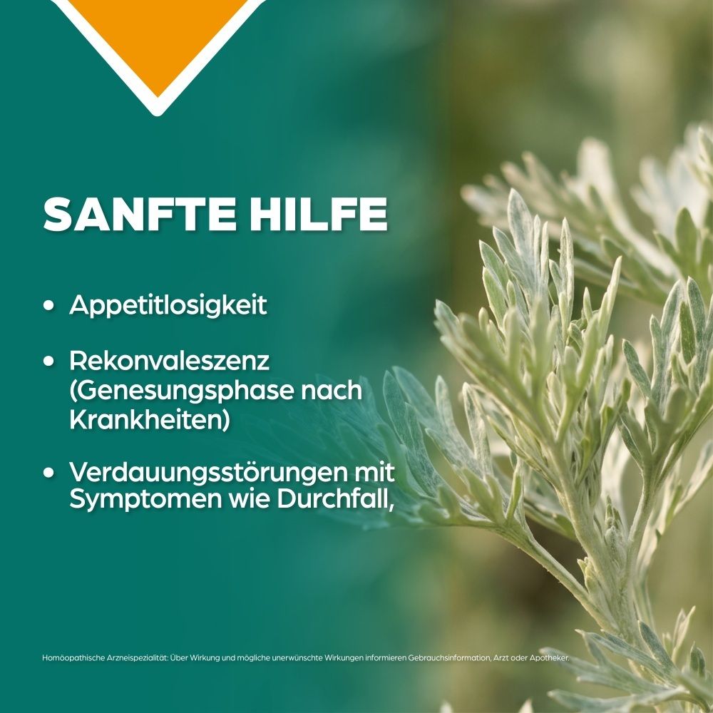 Verpackung und Flasche APOZEMA® Appetit-Tropfen Nr. 4, mit GMP-Siegel und wissenschaftlichen Belegen.