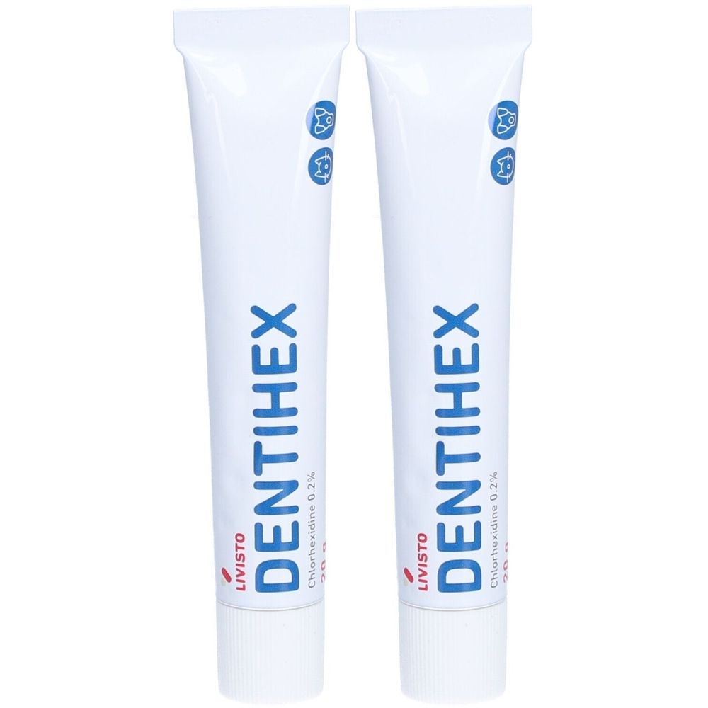 Zwei weiße Tuben LIVISTO DENTIHEX, blaue Schrift. Enthält Chlorhexidin 0,2%. Oben blaue Symbole. Weiße Kappe.