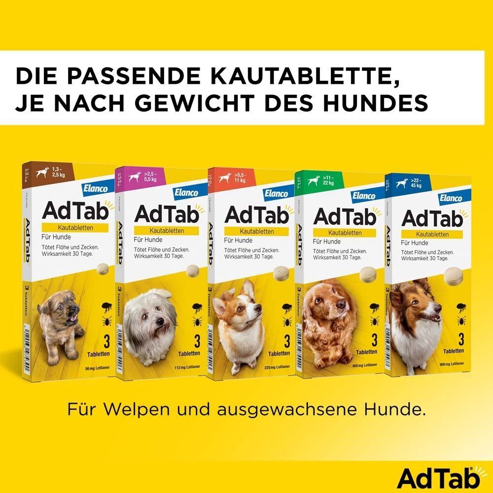 Verschiedene AdTab Packungen für Hunde unterschiedlichen Gewichts. Enthält 3 Tabletten. Für Welpen und ausgewachsene Hunde.