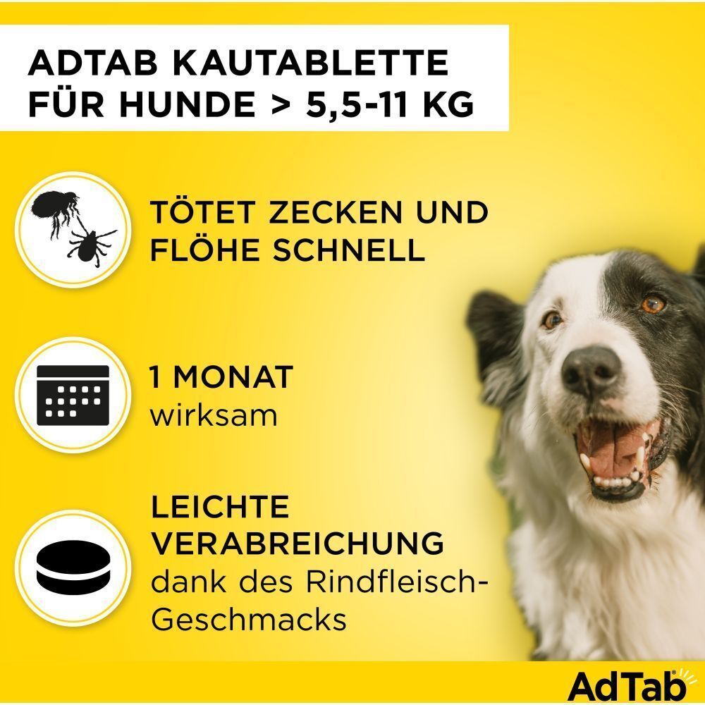Gelber Hintergrund mit Text und Hund. Text: Tötet Zecken und Flöhe schnell, 1 Monat wirksam, leichte Verabreichung.