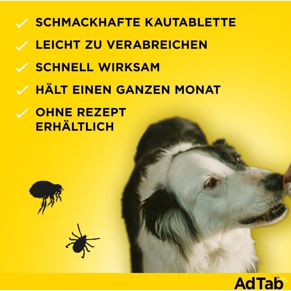 Gelber Hintergrund mit Text und Hund. Text: Schmackhafte Kautablette, leicht zu verabreichen, schnell wirksam, hält einen ganzen Monat.