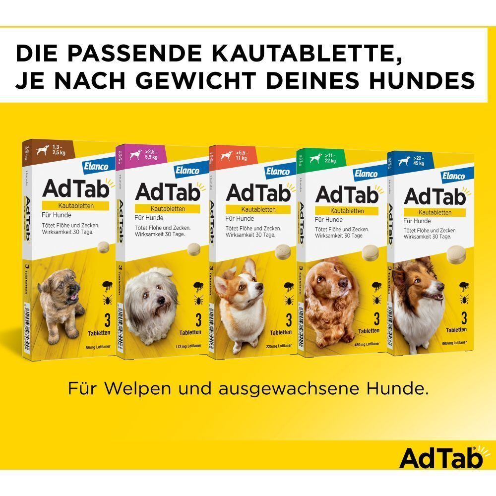 Verschiedene AdTab-Verpackungen für Hunde unterschiedlicher Gewichte. Verschiedene Hunde abgebildet.