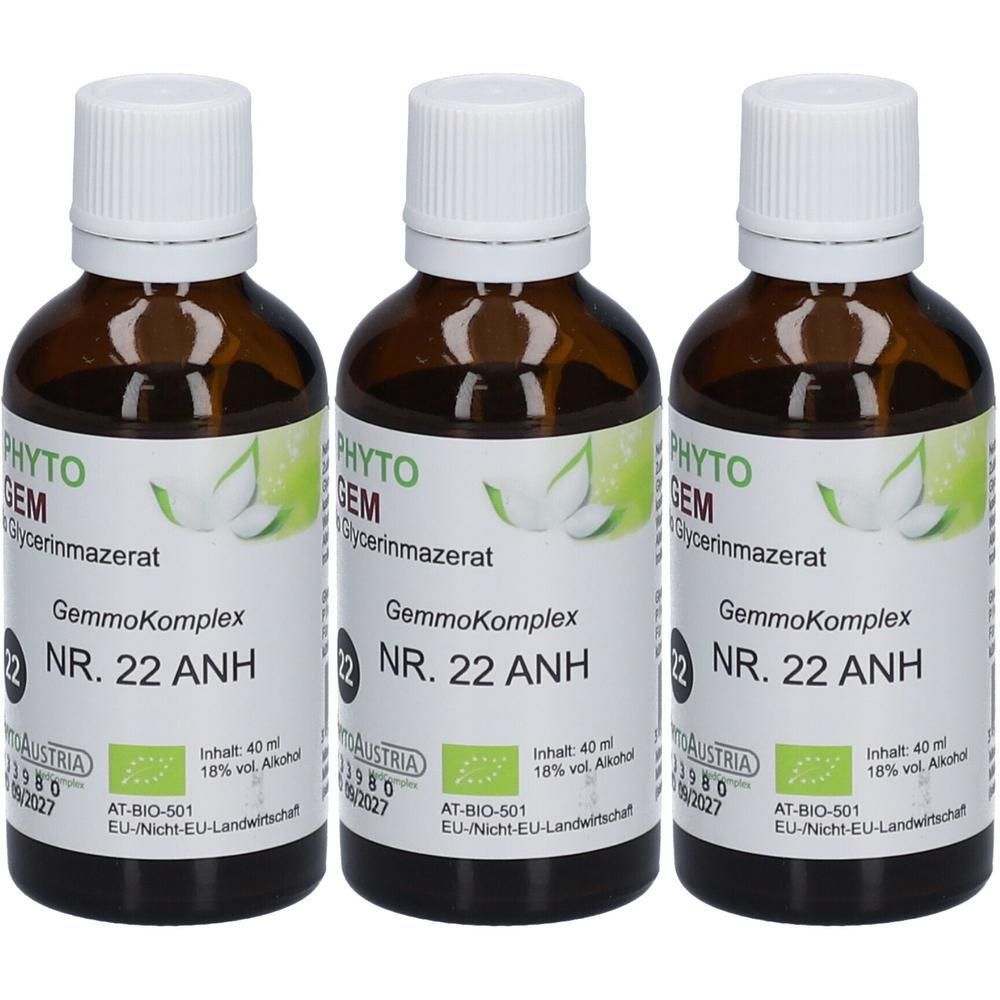 Drei braune Glasflaschen mit weißen Verschlüssen, gefüllt mit Phyto Austria GemmoKomplex NR. 22 ANH.