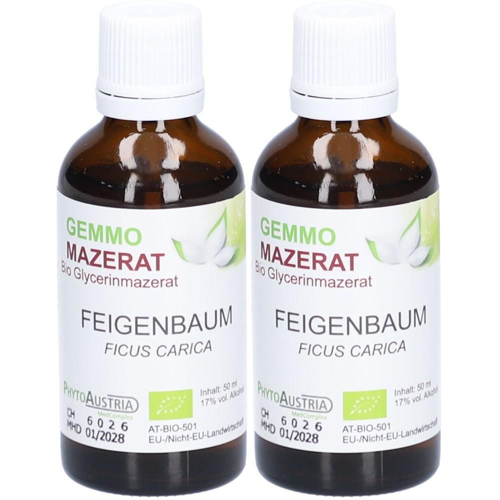 Zwei braune Glasflaschen mit weißem Verschluss, gefüllt mit Feigenbaum Gemmo Mazerat.