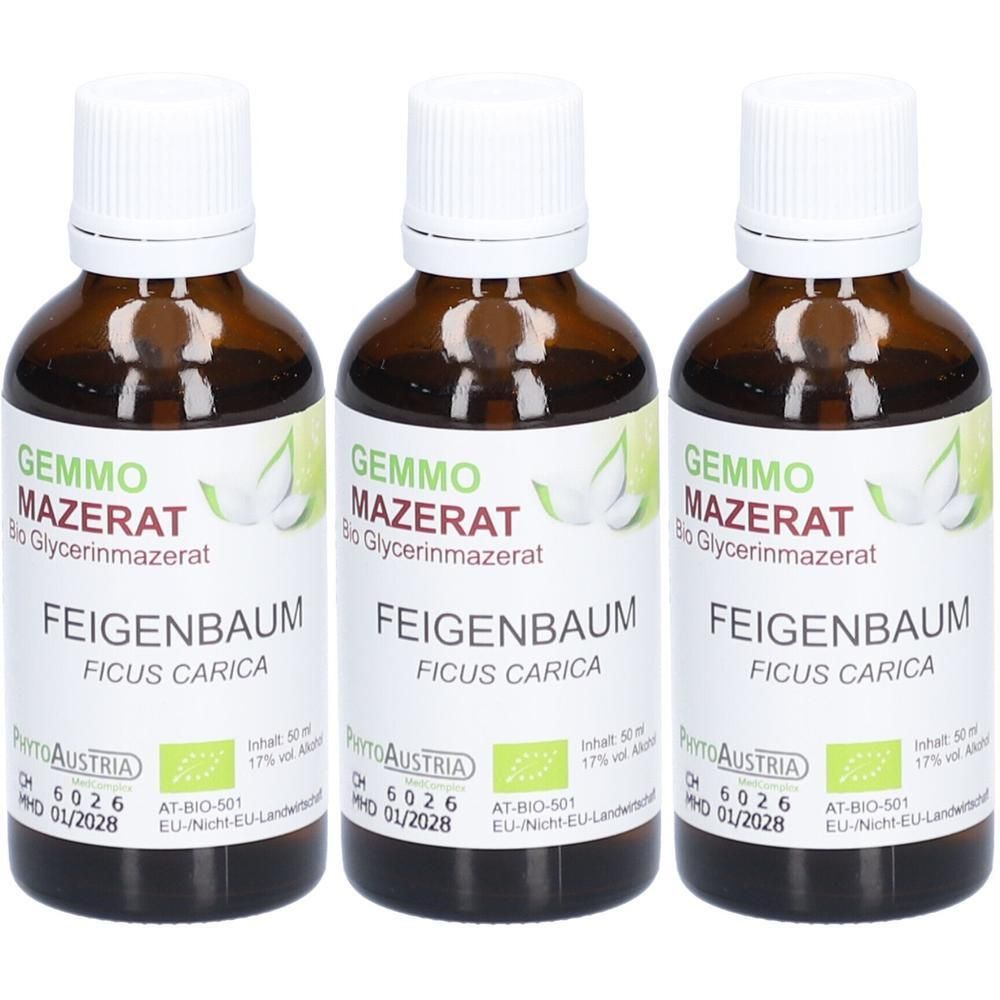 Drei braune Glasflaschen mit weißem Verschluss, gefüllt mit flüssigem Extrakt. Etiketten zeigen 'Feigenbaum' und Bio-Siegel.