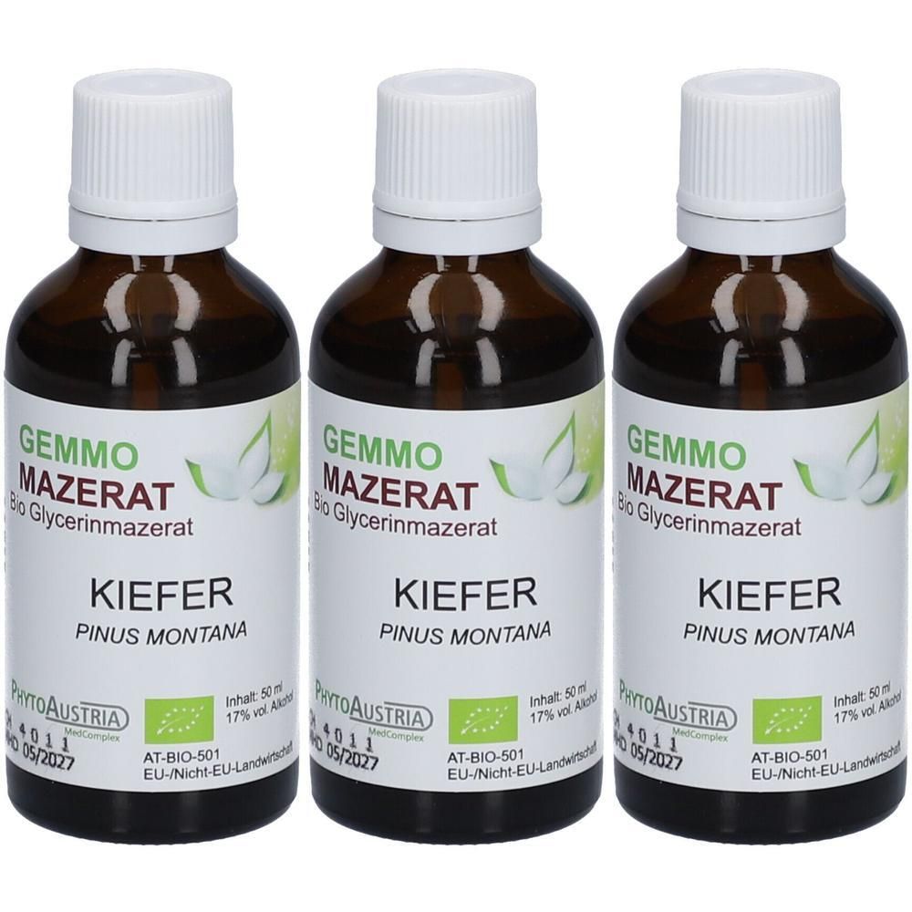 Drei Flaschen Gemmo Mazerat Kiefer Bio Glycerinmazerat von PhytoAustria. Braune Glasflaschen mit weißem Verschluss und Etikett.
