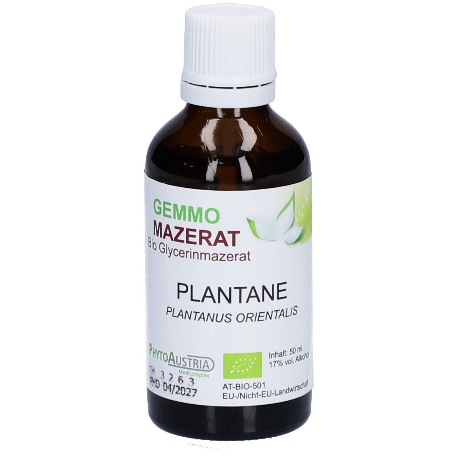 Braune Glasflasche mit weißem Schraubverschluss. Enthält PhytoAustria Gemmo Mazerat Plantane Bio Glycerinmazerat.