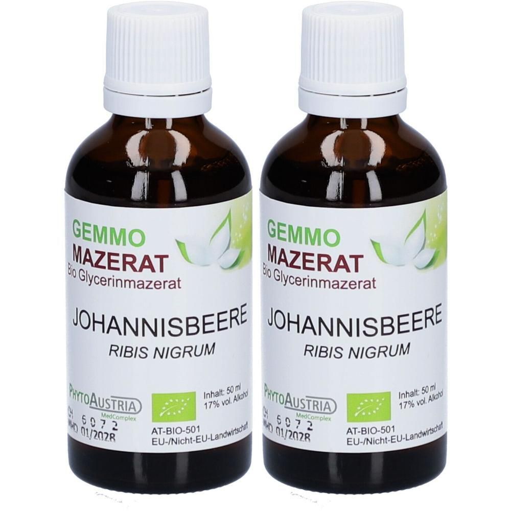 Gemmo Mazerat Schwarze Johannisbeere