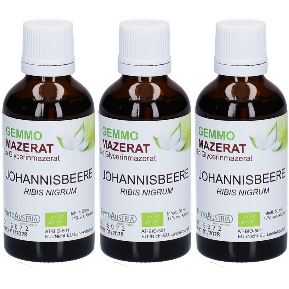 Drei Flaschen Johannisbeere Glycerinmazerat mit weißen Schraubverschlüssen. Braune Glasflaschen mit Etiketten.