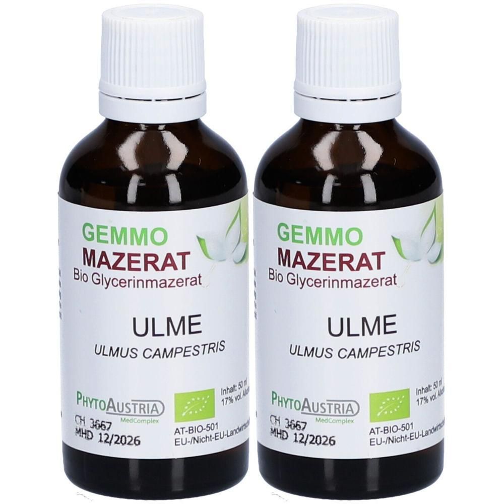 Zwei Flaschen Ulmen Bio Glycerinmazerat von PhytoAustria. Braune Glasflaschen mit weißen Verschlüssen und Etiketten.