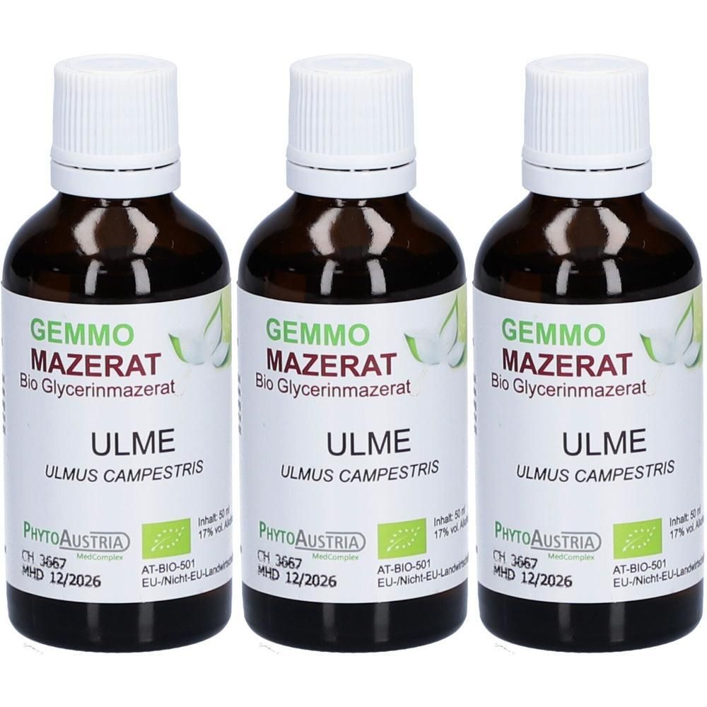 Drei Flaschen PhytoAustria Gemmo Mazerat Ulme Bio Glycerinmazerat mit weißen Verschlüssen.