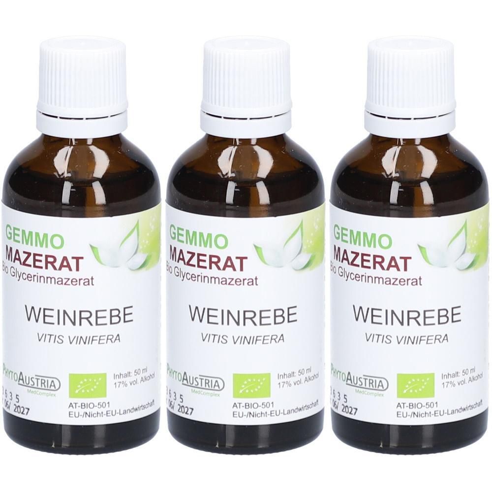 Drei braune Glasflaschen mit weißem Schraubverschluss, gefüllt mit flüssigem Produkt. Etiketten zeigen "GEMMO MAZERAT WEINREBE" und Bio-Siegel.