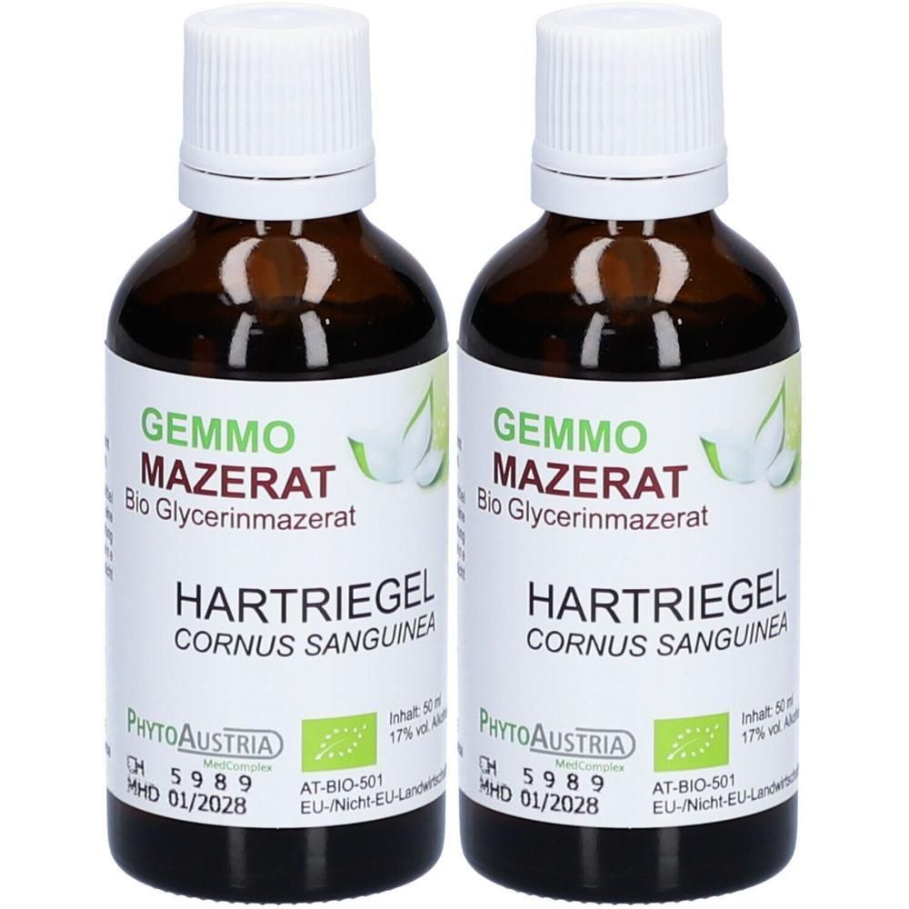 Gemmo Mazerat Hartriegel