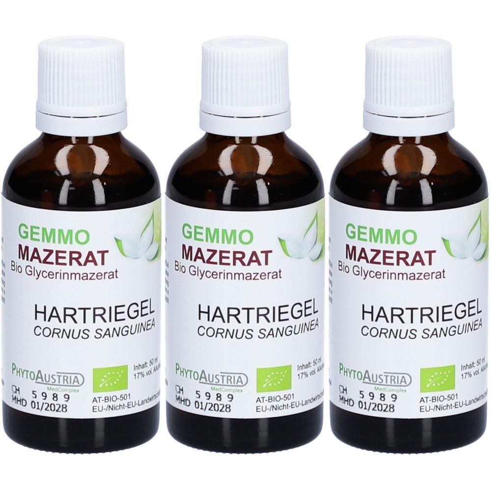 Gemmo Mazerat Hartriegel