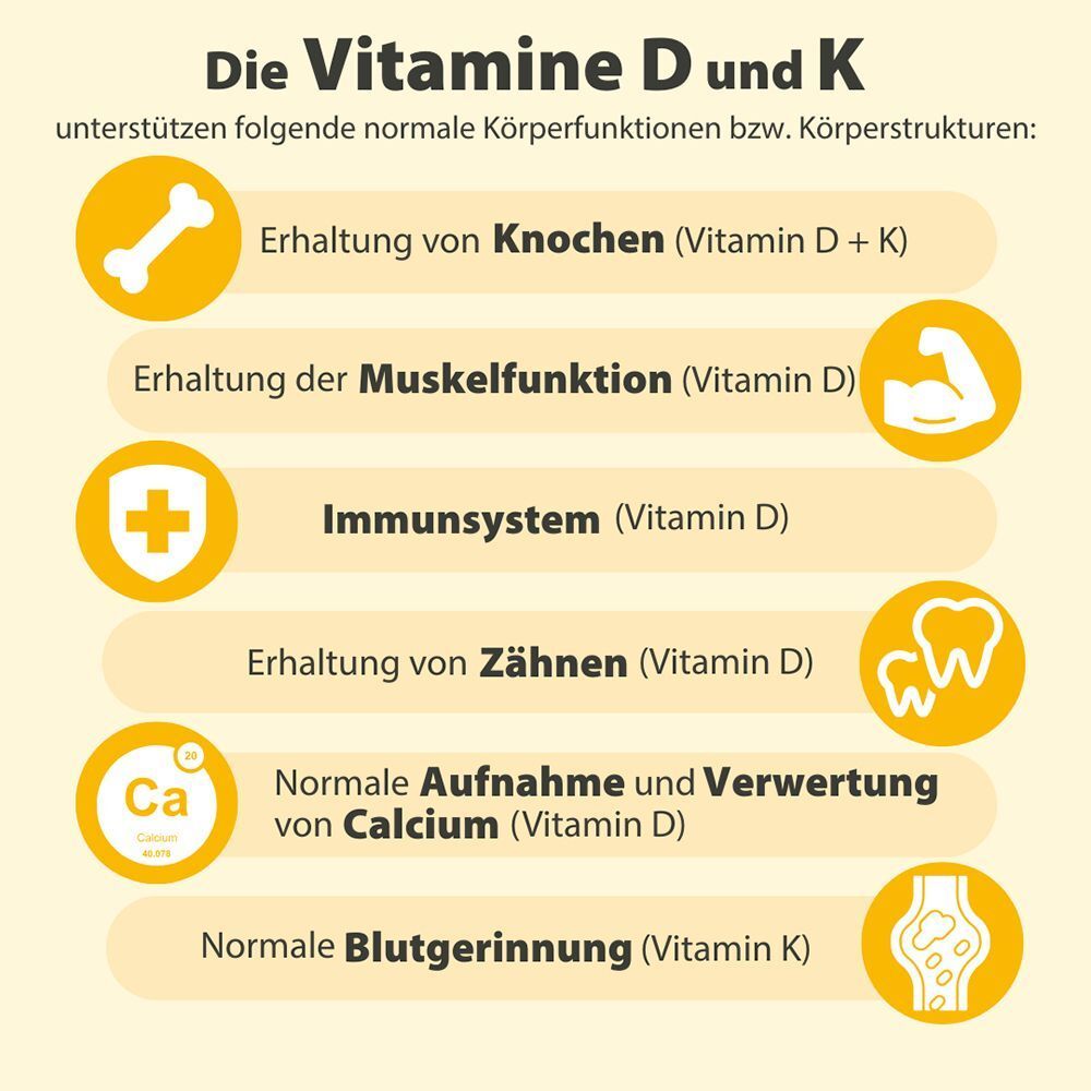 Infografik über die Funktionen von Vitamin D und K. Gelbe Icons und Text.