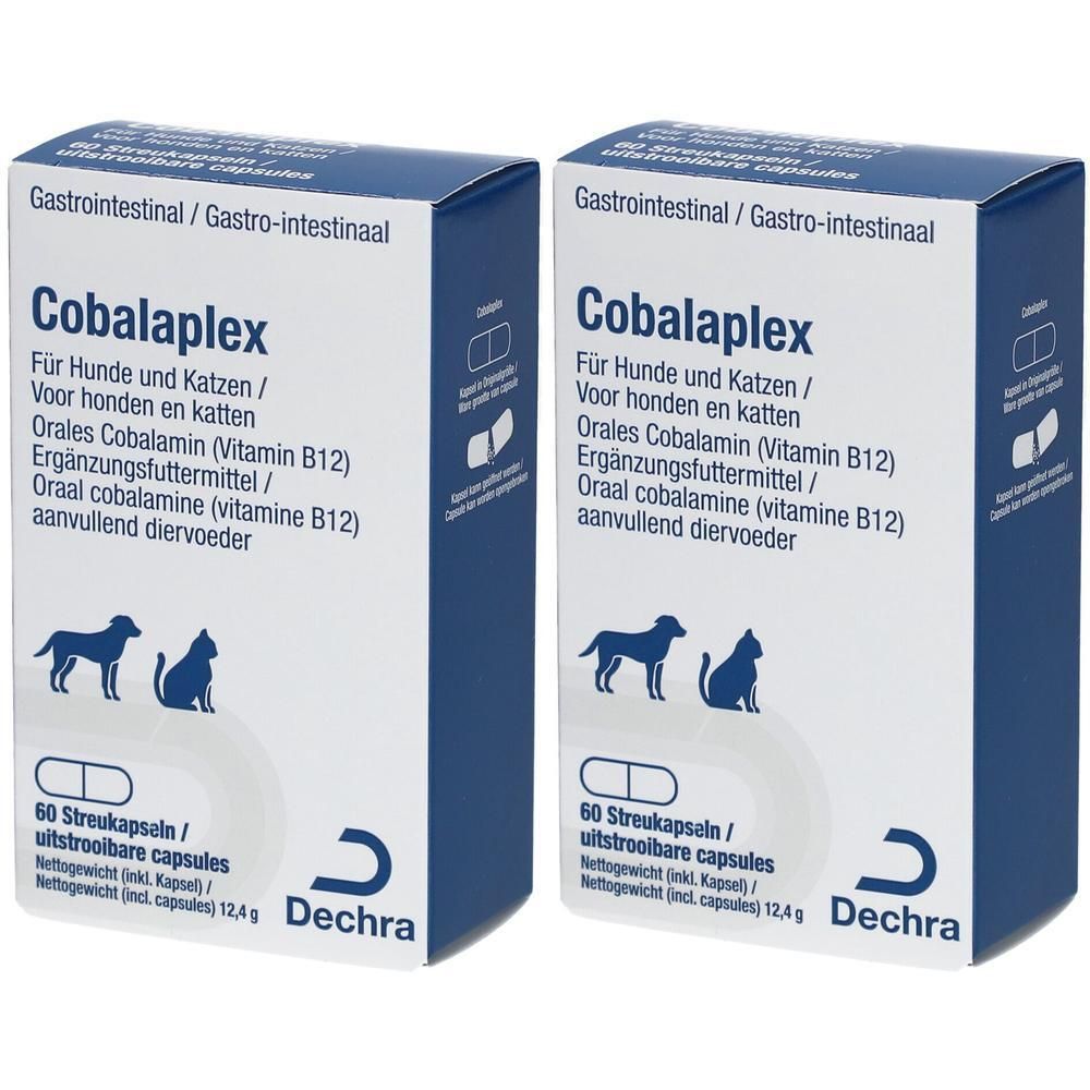 Zwei rechteckige Kartons mit "Cobalaplex"-Aufdruck. Enthält Kapseln für Hunde und Katzen. Marke Dechra.