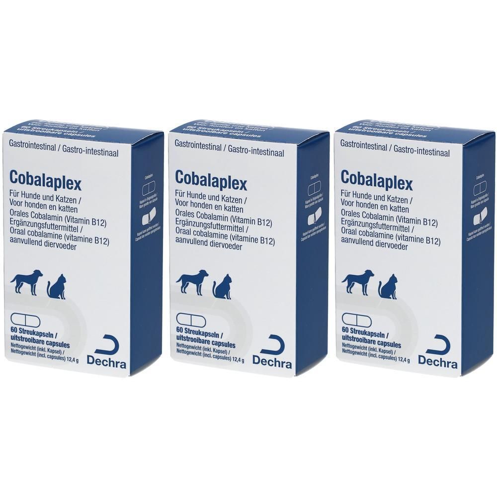 Drei blaue Kartons mit der Aufschrift "Cobalaplex" für Hunde und Katzen. Enthält 60 Kapseln. Marke Dechra.