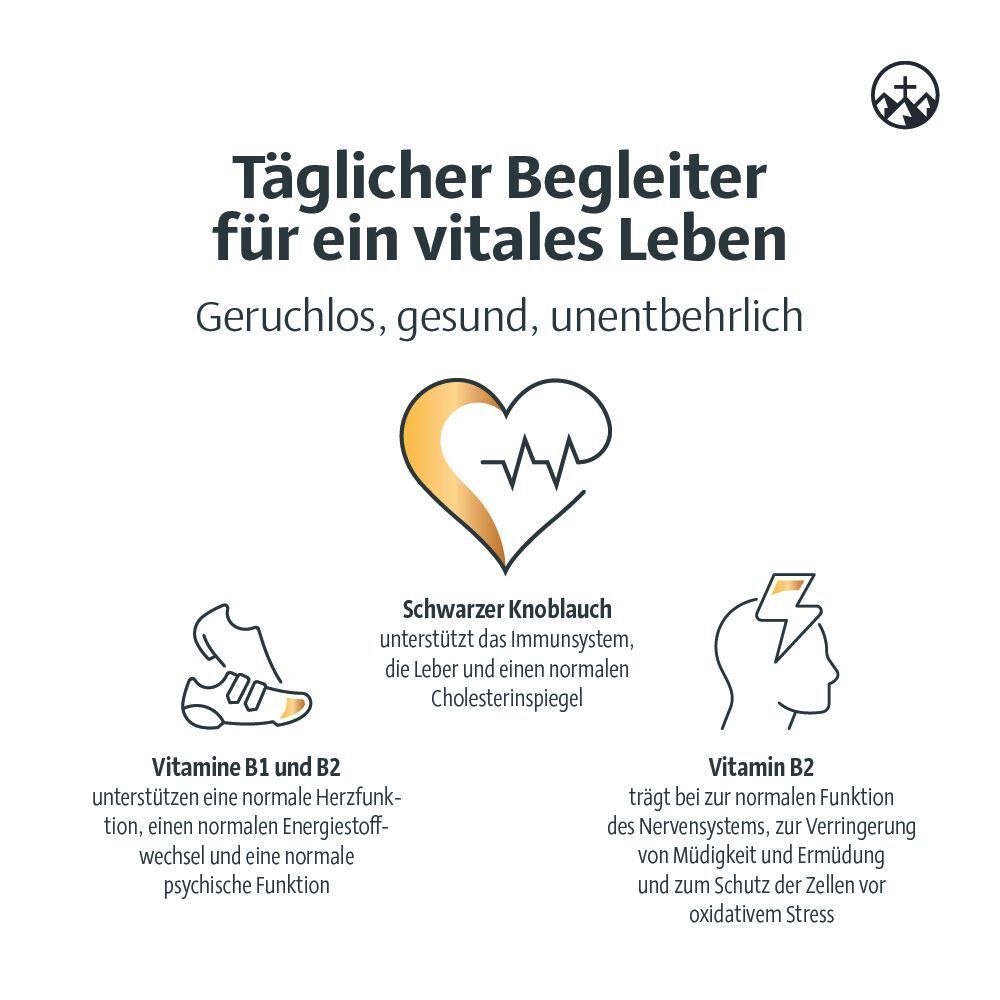 Infografik: Schwarzer Knoblauch unterstützt Immunsystem, Leber und Cholesterinspiegel. Vitamin B1/B2 für Herz, Energie, Psyche.