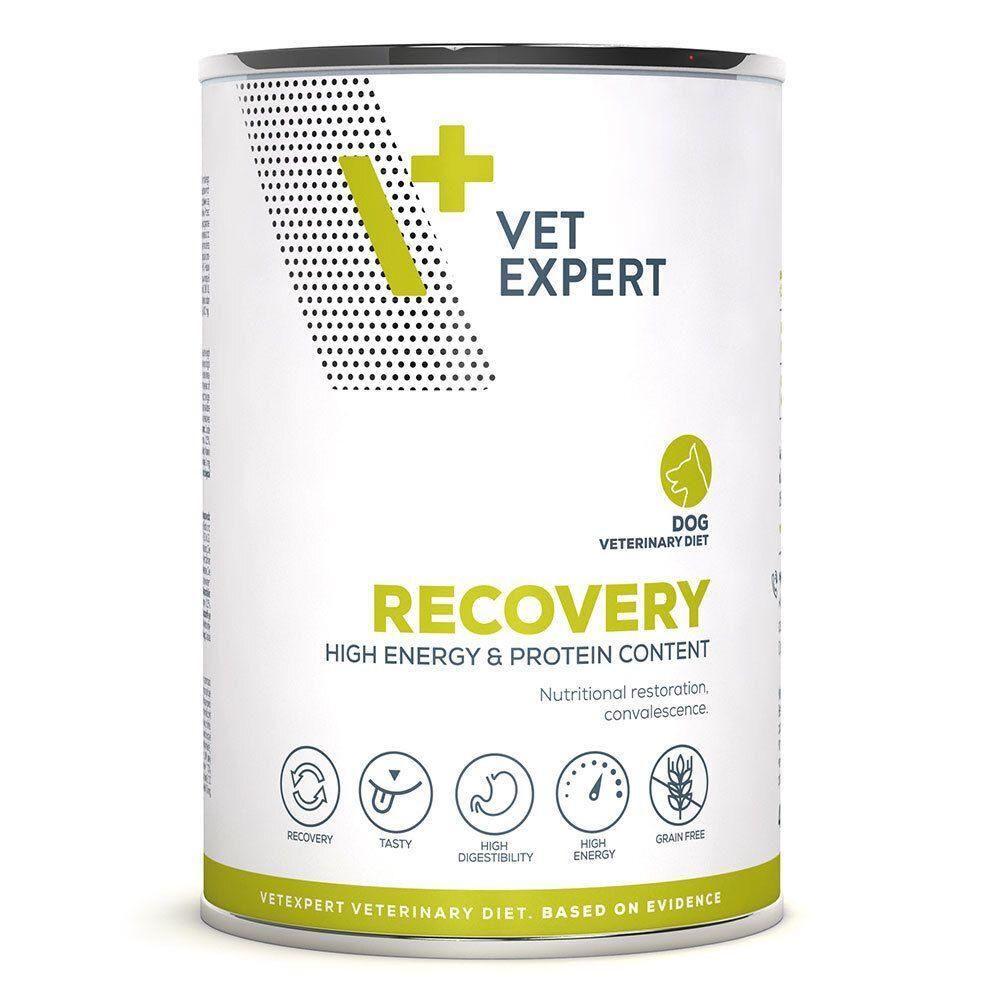 Zylindrische Dose mit weißem Etikett. Aufschrift: VET EXPERT, RECOVERY, DOG VETERINARY DIET. Enthält Piktogramme und Text.