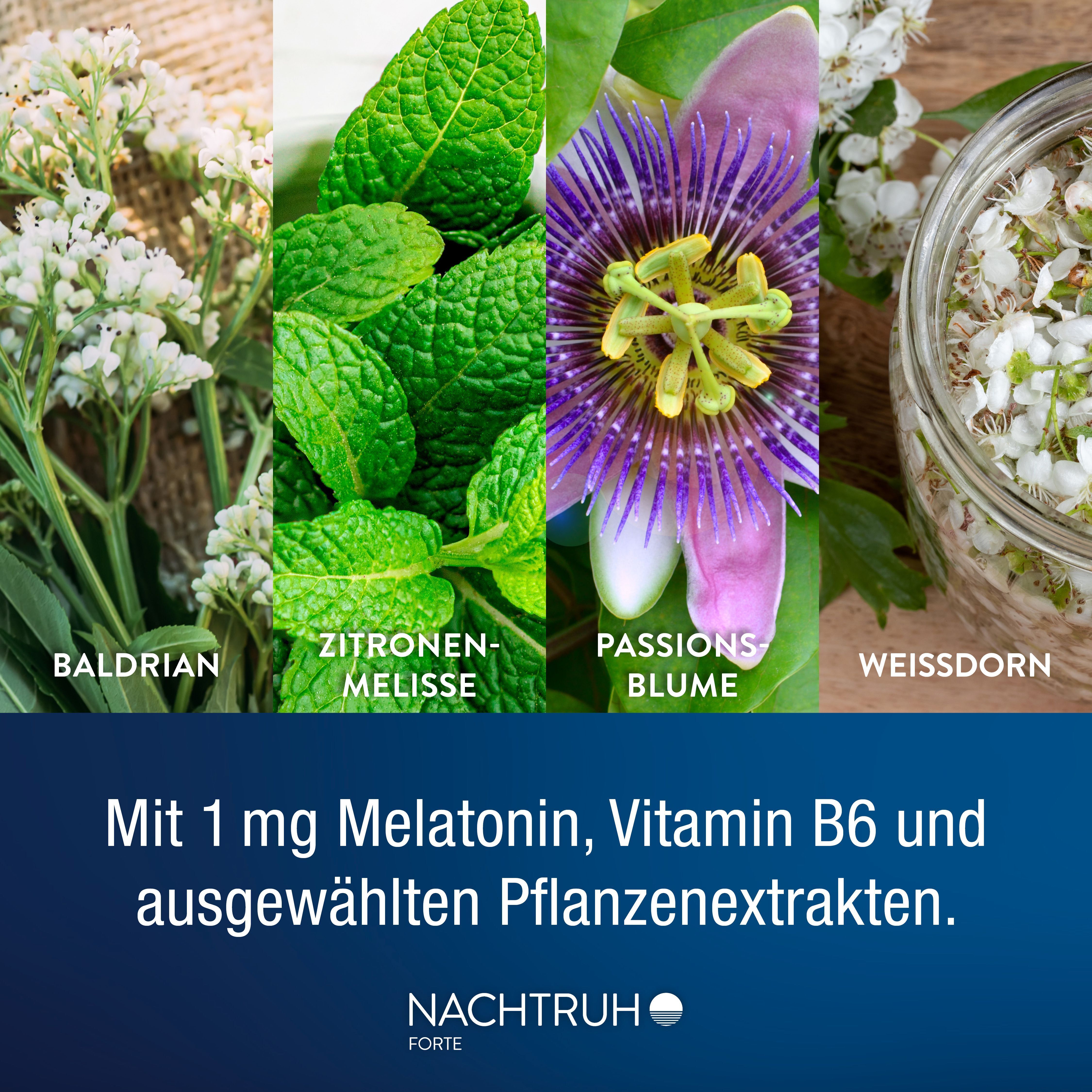 Pflanzenextrakte: Baldrian, Zitronenmelisse, Passionsblume, Weißdorn für NACHTRUH FORTE.