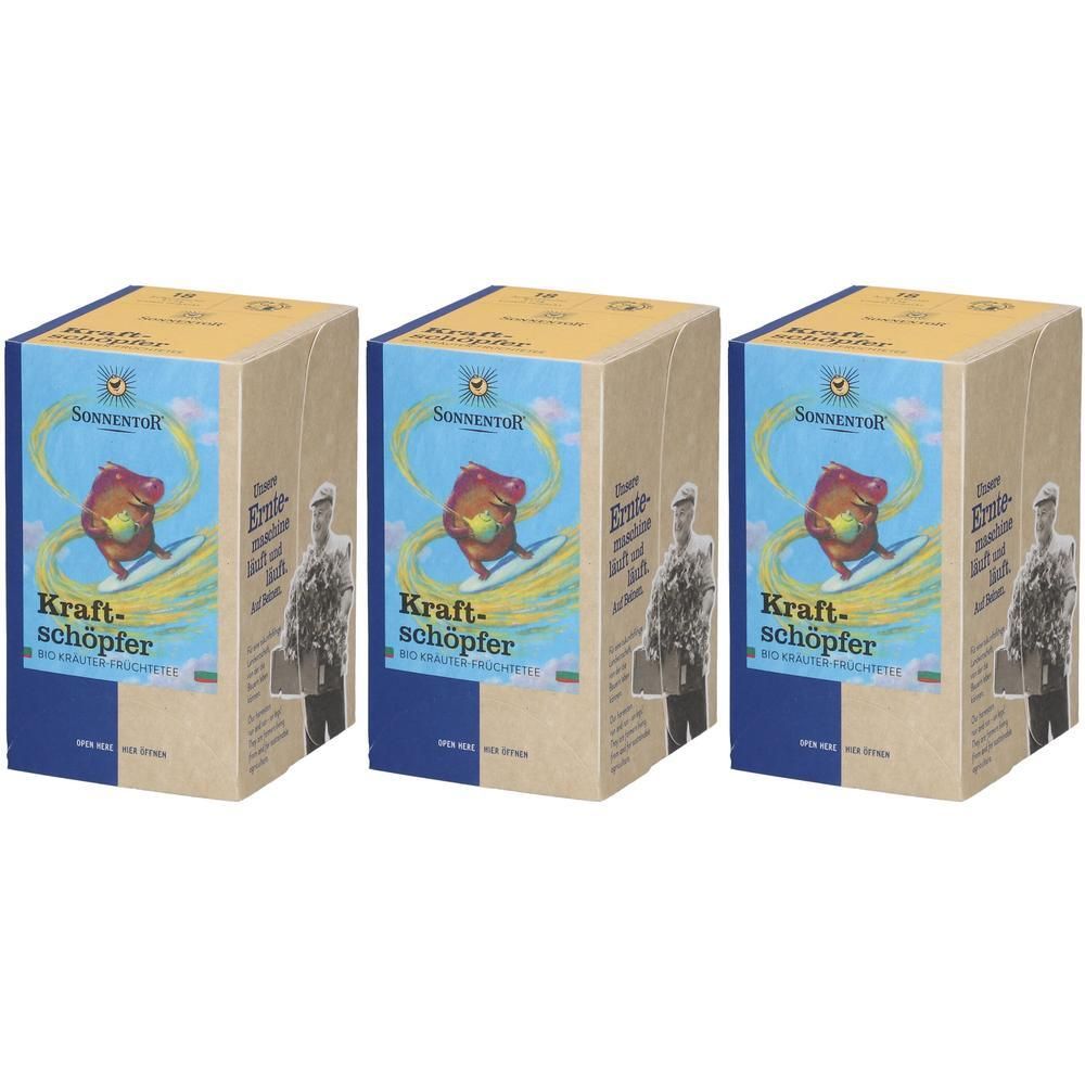 Drei rechteckige Kartonverpackungen. Auf der Vorderseite ist das Logo und der Schriftzug "Kraftschöpfer" zu sehen. Die Verpackungen sind nebeneinander angeordnet.