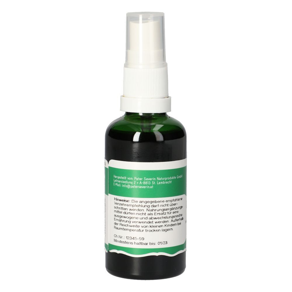 Grüne Sprühflasche mit weißem Aufsatz. Aufschrift: Hinweise, Text. Rückansicht der Flasche.