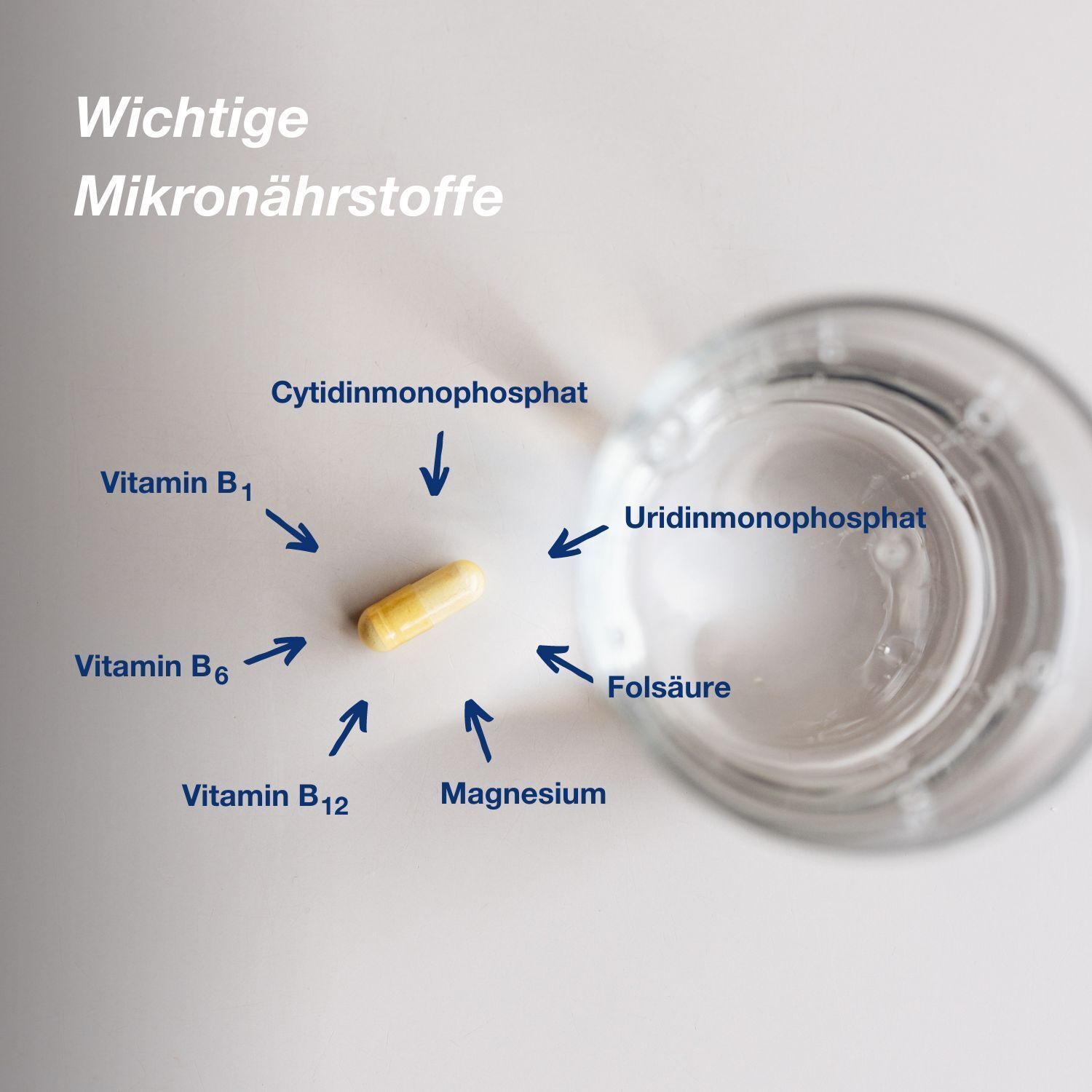 Nahaufnahme einer Kapsel neben einem Glas Wasser. Pfeile zeigen auf Inhaltsstoffe wie Vitamin B1, B6, B12, Folsäure.