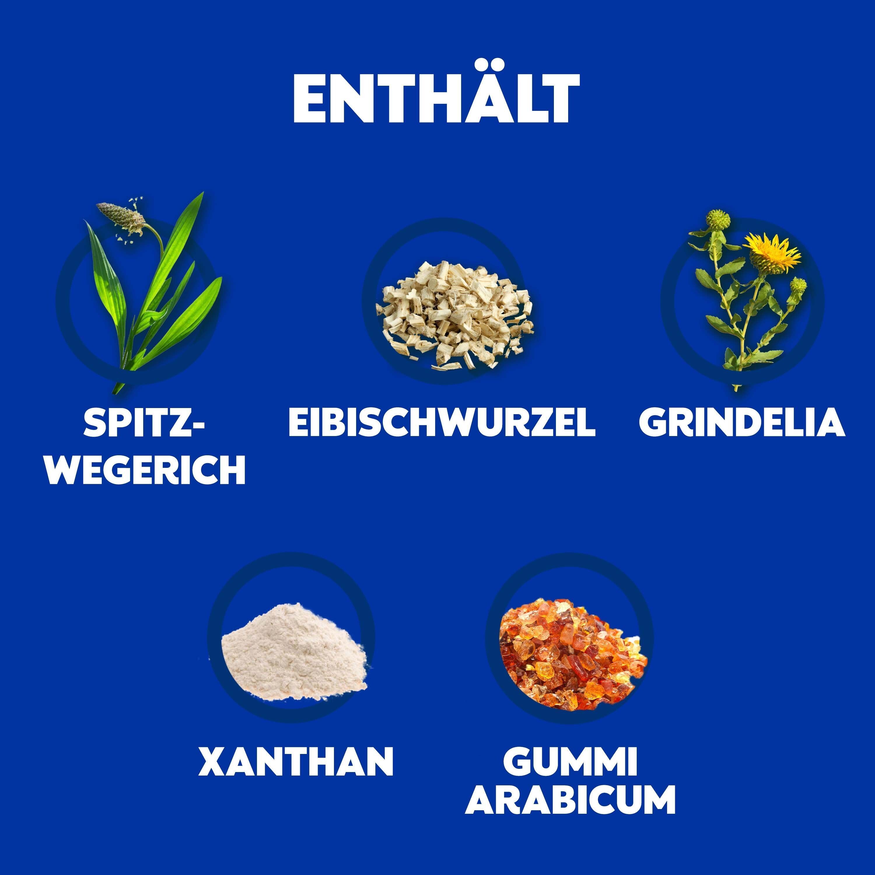 Blaue Grafik mit Abbildungen von Inhaltsstoffen: Spitzwegerich, Eibischwurzel, Grindelia, Xanthan, Gummi arabicum.
